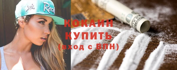 прущая мука Дмитриев