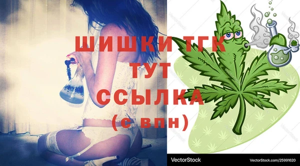ешки Чекалин