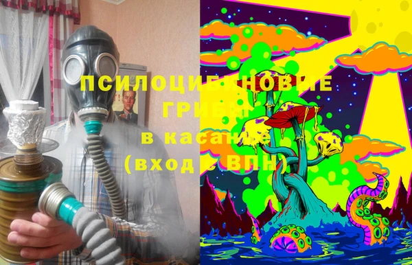 прущая мука Дмитриев